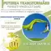 Puterea Transformării - Povești despre sănătate - online
