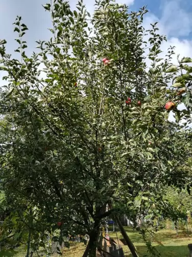 Öko kertészkedés Agrova.