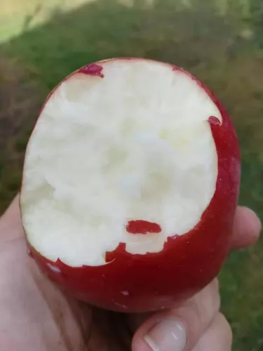 Öko kertészkedés Agrova.