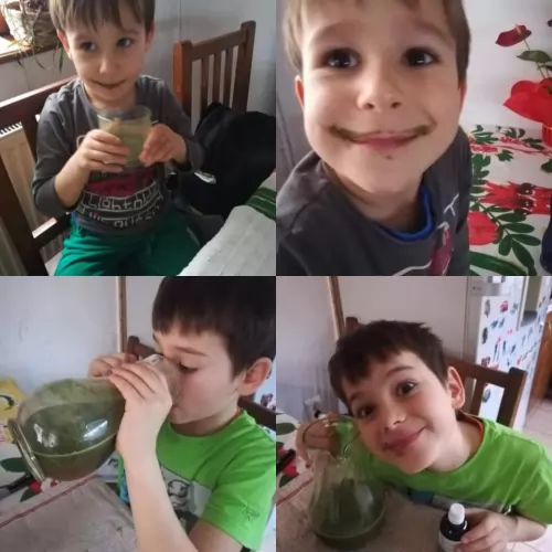 Immunrendszer harmonizálása