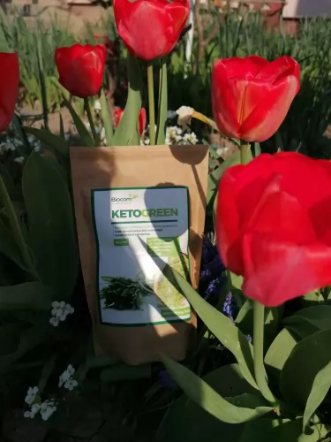 Újabb kedvenc!!! #Ketogreen #Superfood