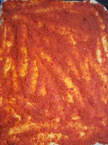 🍕Regenoros  pizza