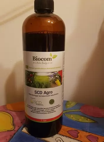 Május 20 - A méhek világnapja