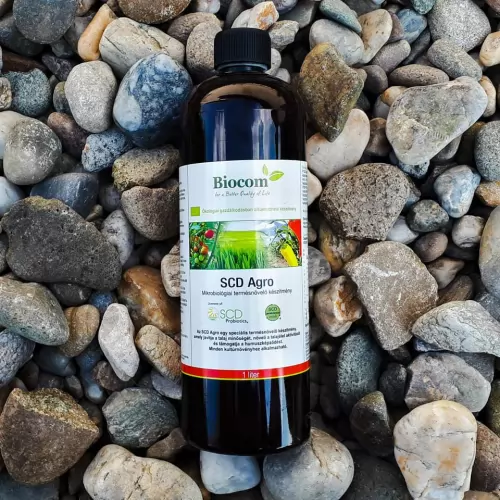 SCD csodakészítmények