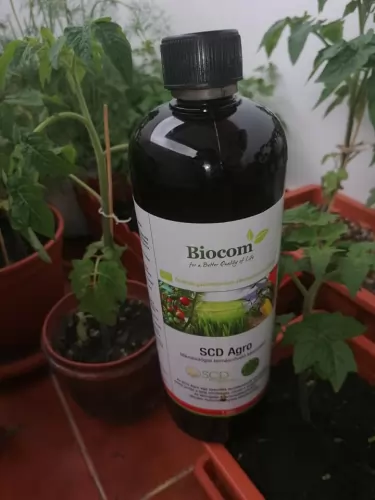 Vegyszermentes kertészkedés a tömbházban