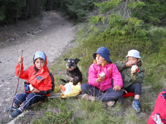 SCD BIO háztartás - mert a természetben lenni jó, így költöztessük be az othonunkba is!!!