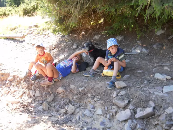 SCD BIO háztartás - mert a természetben lenni jó, így költöztessük be az othonunkba is!!!