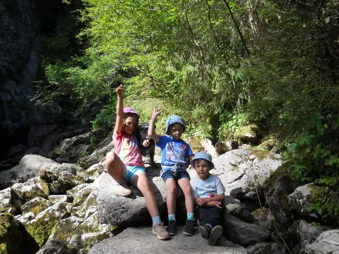 SCD BIO háztartás - mert a természetben lenni jó, így költöztessük be az othonunkba is!!!