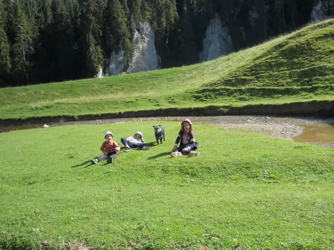 SCD BIO háztartás - mert a természetben lenni jó, így költöztessük be az othonunkba is!!!