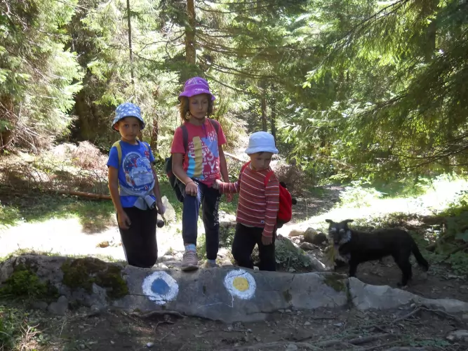 SCD BIO háztartás - mert a természetben lenni jó, így költöztessük be az othonunkba is!!!