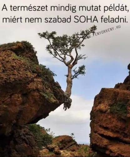 Légy újra önmagad 😉