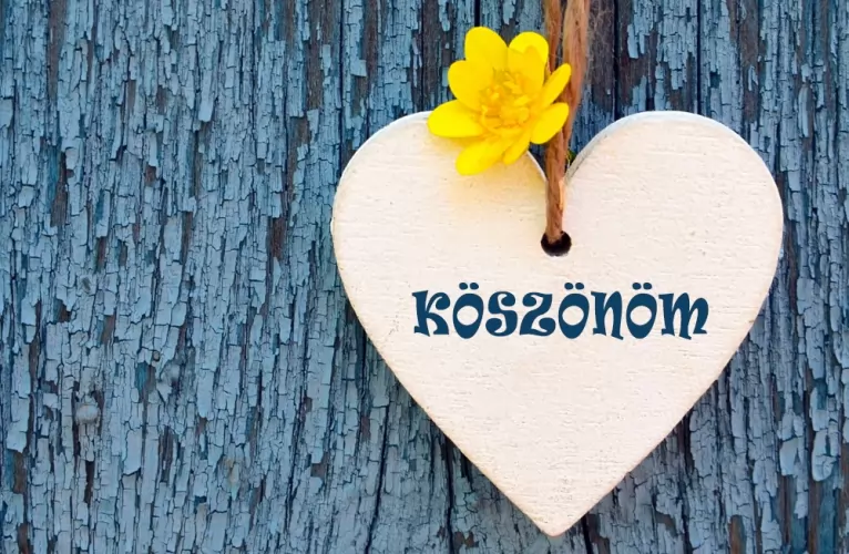 Csak pillanatnyi elmélkedés...