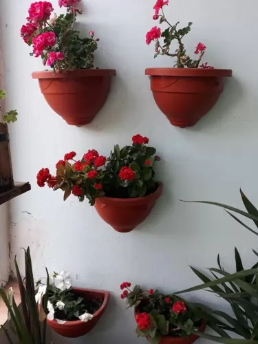 SCD Clean Soft -  probiotikus technológiával készült, avagy az én univerzális tisztítószerem