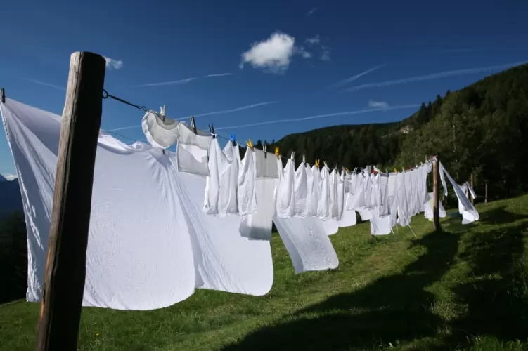 1 literből 4 liter 🤩😮