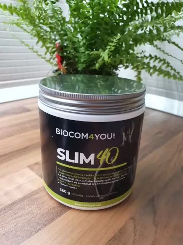 Proiect Slim40 - Kiss Noémi Kinga - Rezultat parțial 2.