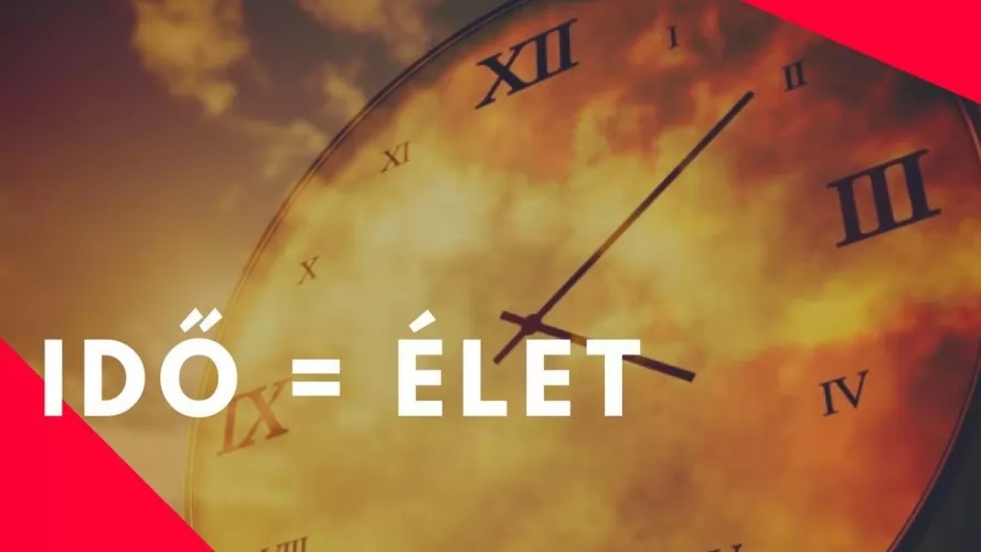 MUNKATÁRSI VISZONY!!!