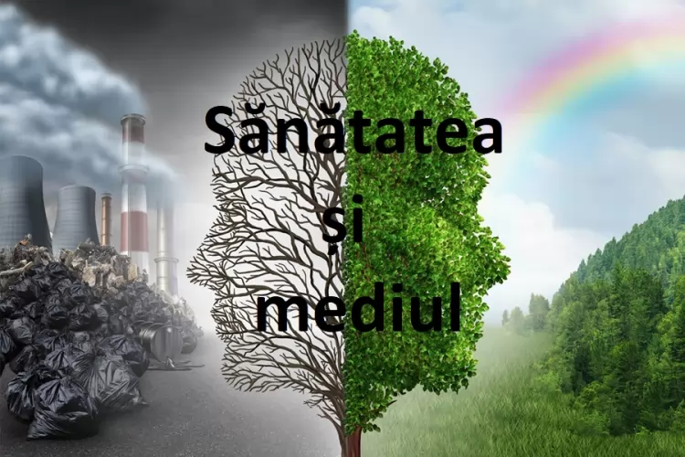 Cum afectează mediul înconjurător sănătatea umană?