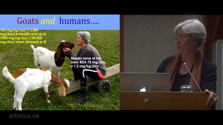 A C vitaminról 🙂