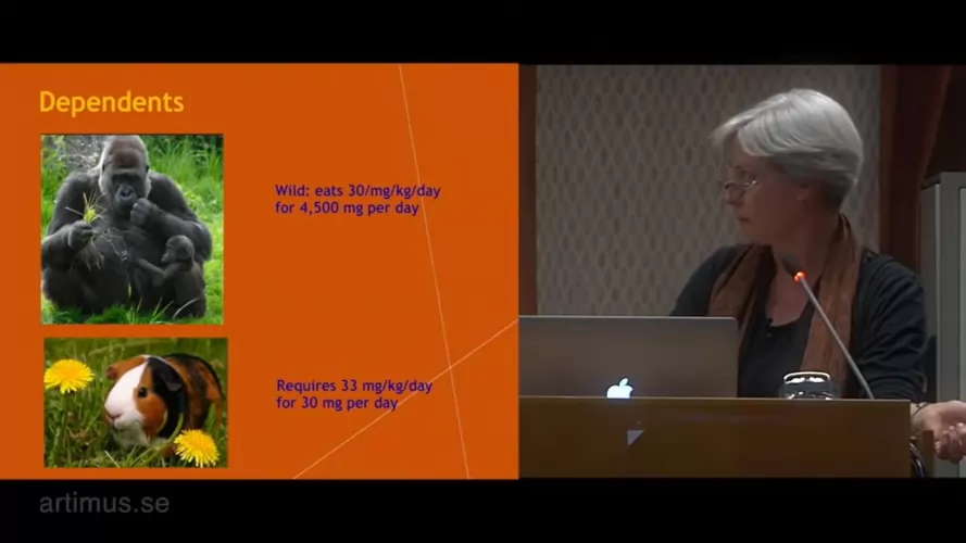 A C vitaminról 🙂