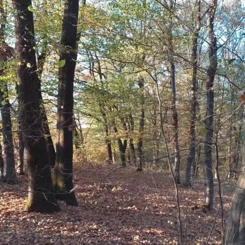 Változtass , hogy változz