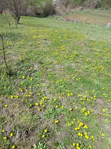 Változtass , hogy változz