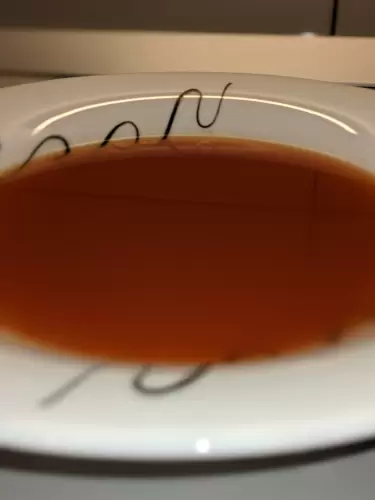 Prânz conform dietei cu Regenor