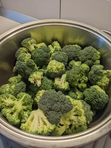 Mert regenorozni jó!