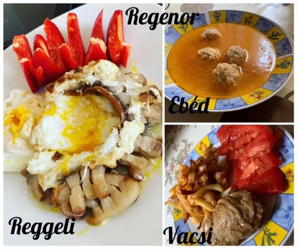 Regenor ,fogyás éhezésmentesen!