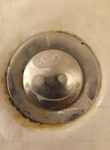 Gospodărie bio vegan