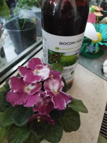 Növények táplálása Agroval