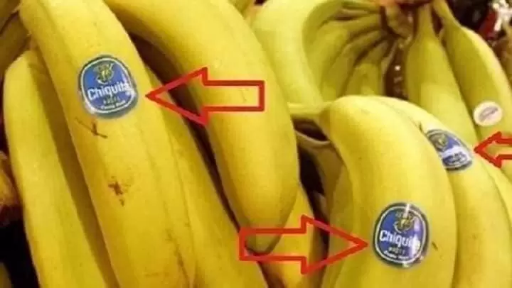 Multikban vásárolsz? Ezt tudnod kell !!!