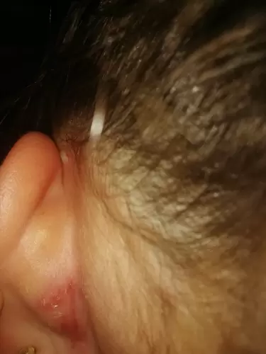 Extract de sâmburi de grapefruit- de nelipsit din casa noastră