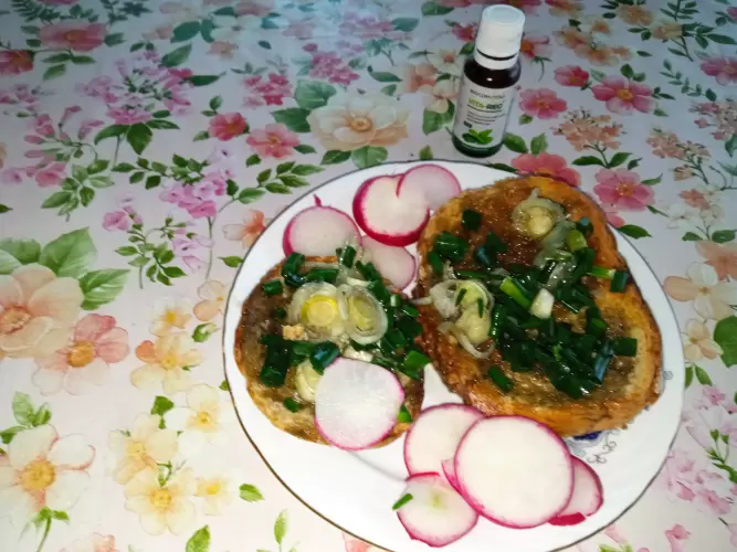 Nyárson sűlt szalonna regenoros változatban