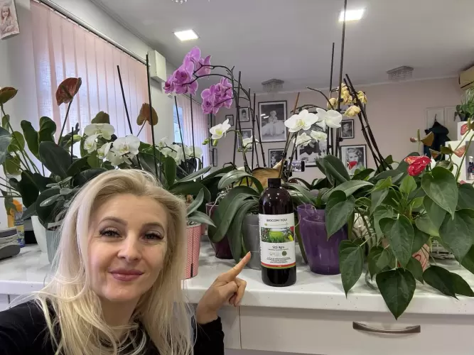 Florile mele zâmbesc fără chimicale , descoperă SCD Agro !