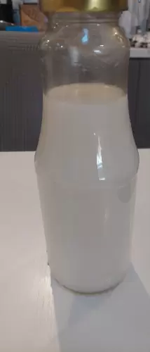 LAPTE DE COCOS - HOME MADE