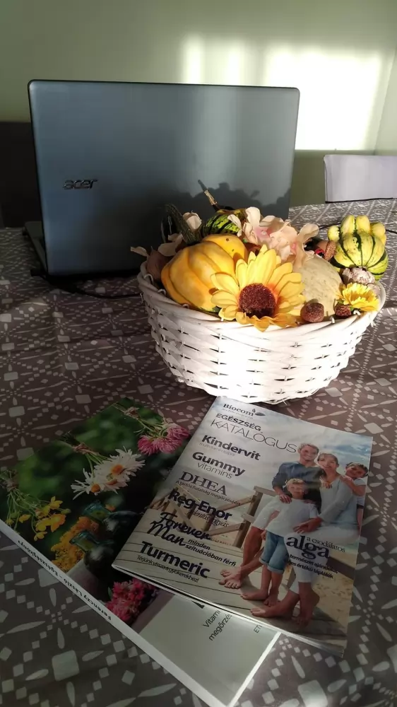 Dolgozz otthonról