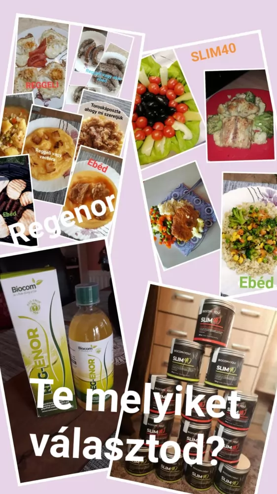 Regenor vagy Slim 40?