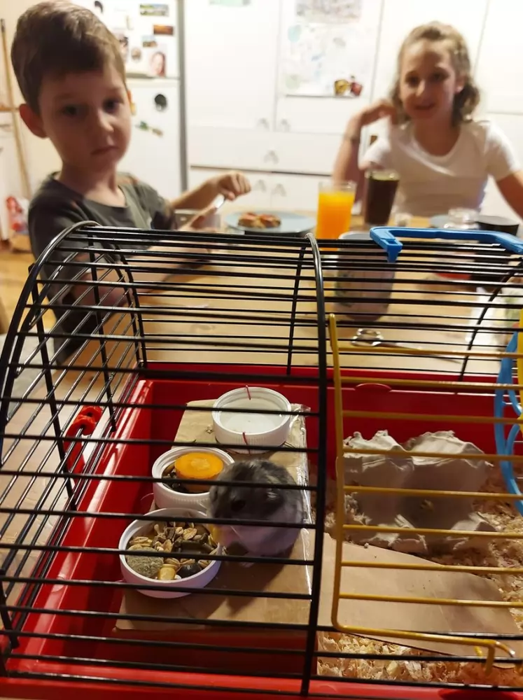 Reggelizik a család MINDEN tagja 🙂