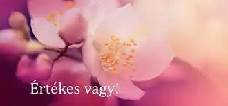 Élj !!!