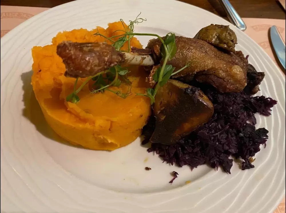 Regenoros ebédötlet