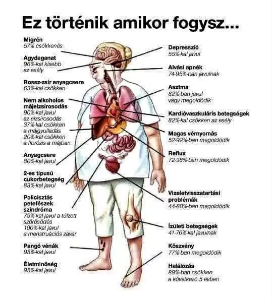 Okos összefoglaló arról, hogyan hat ránk pozitivan a fogyás !!!