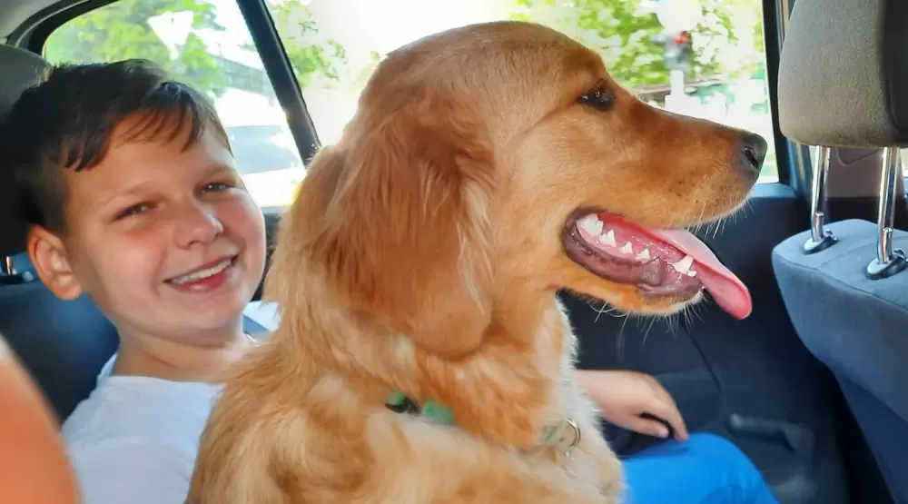 Hányás-hasmenés  megoldása, akár állatoknál...