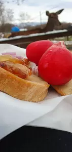 Emésztési gondok? A múlté!