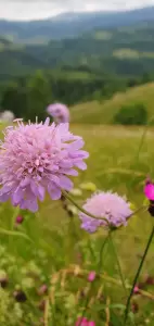 Utazócsomag vakációra