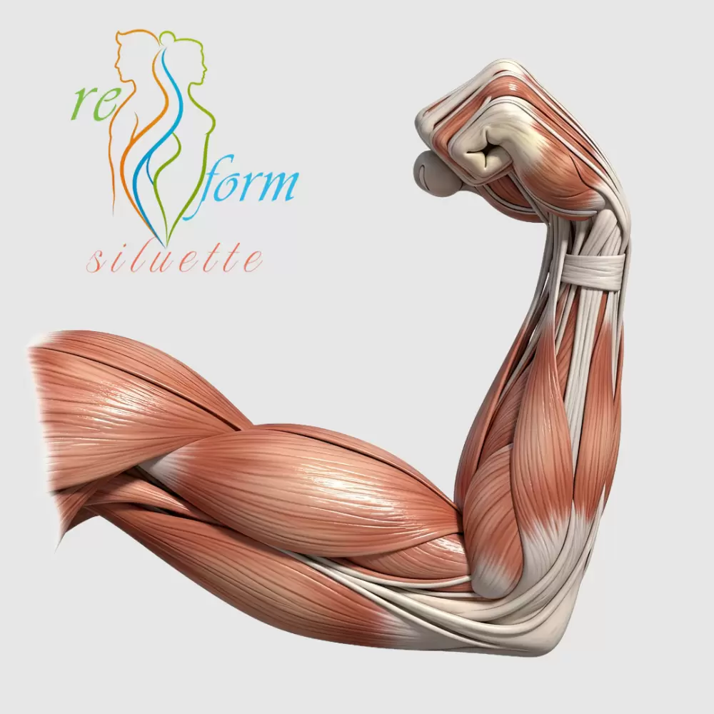 Cresterea masei musculare